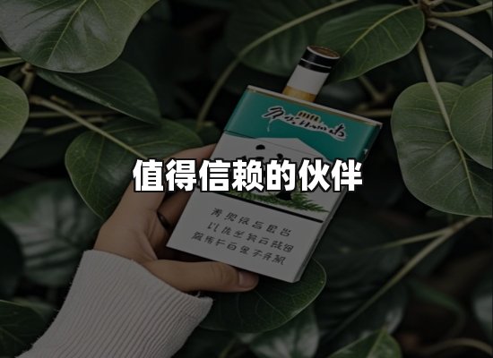 专业优势